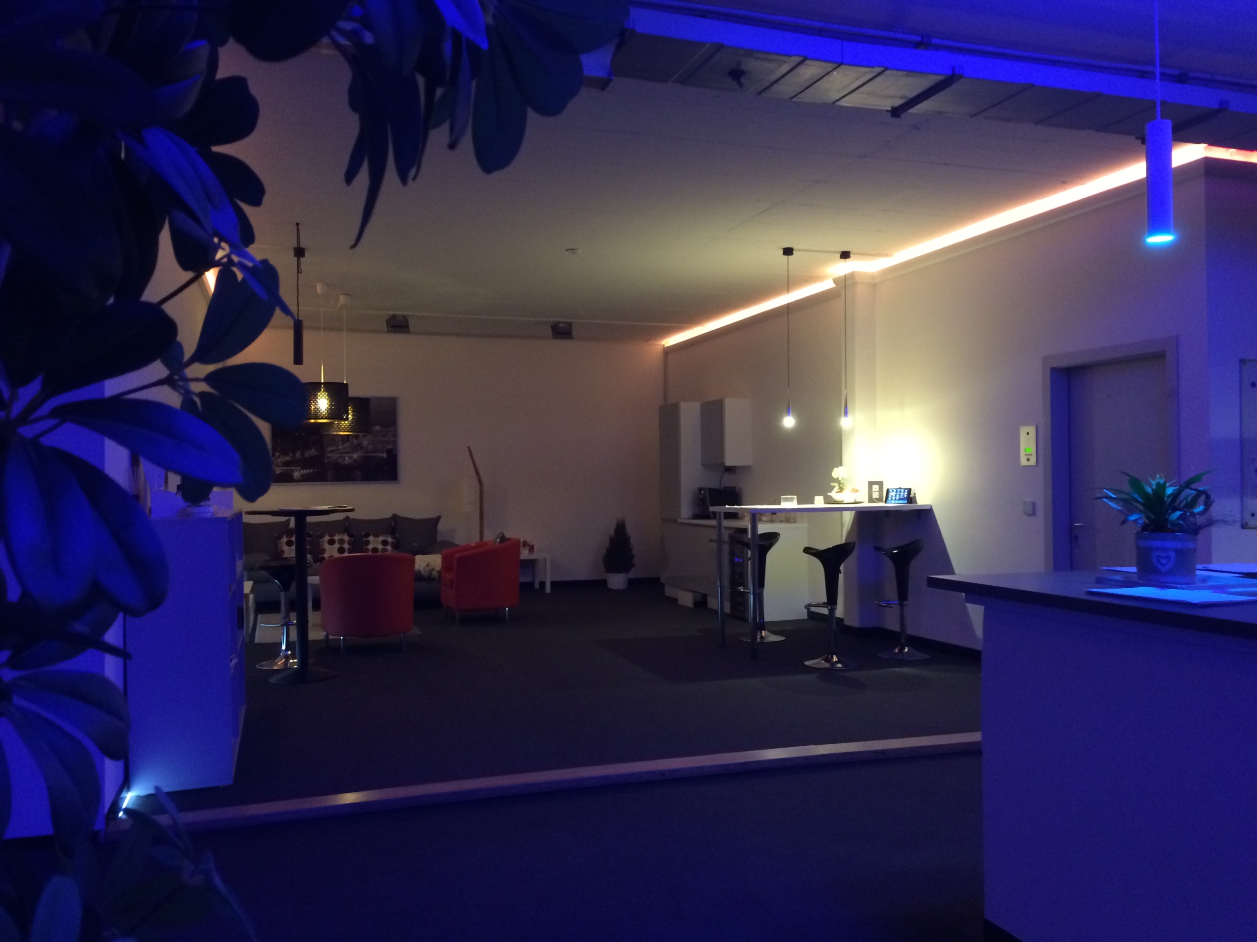Showroom_ESCENCIAL_31-1-scaled